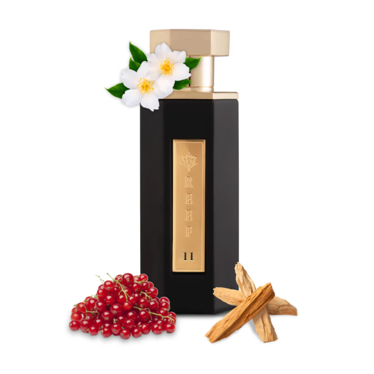 REEF 11 Eau de Parfum - 100ml