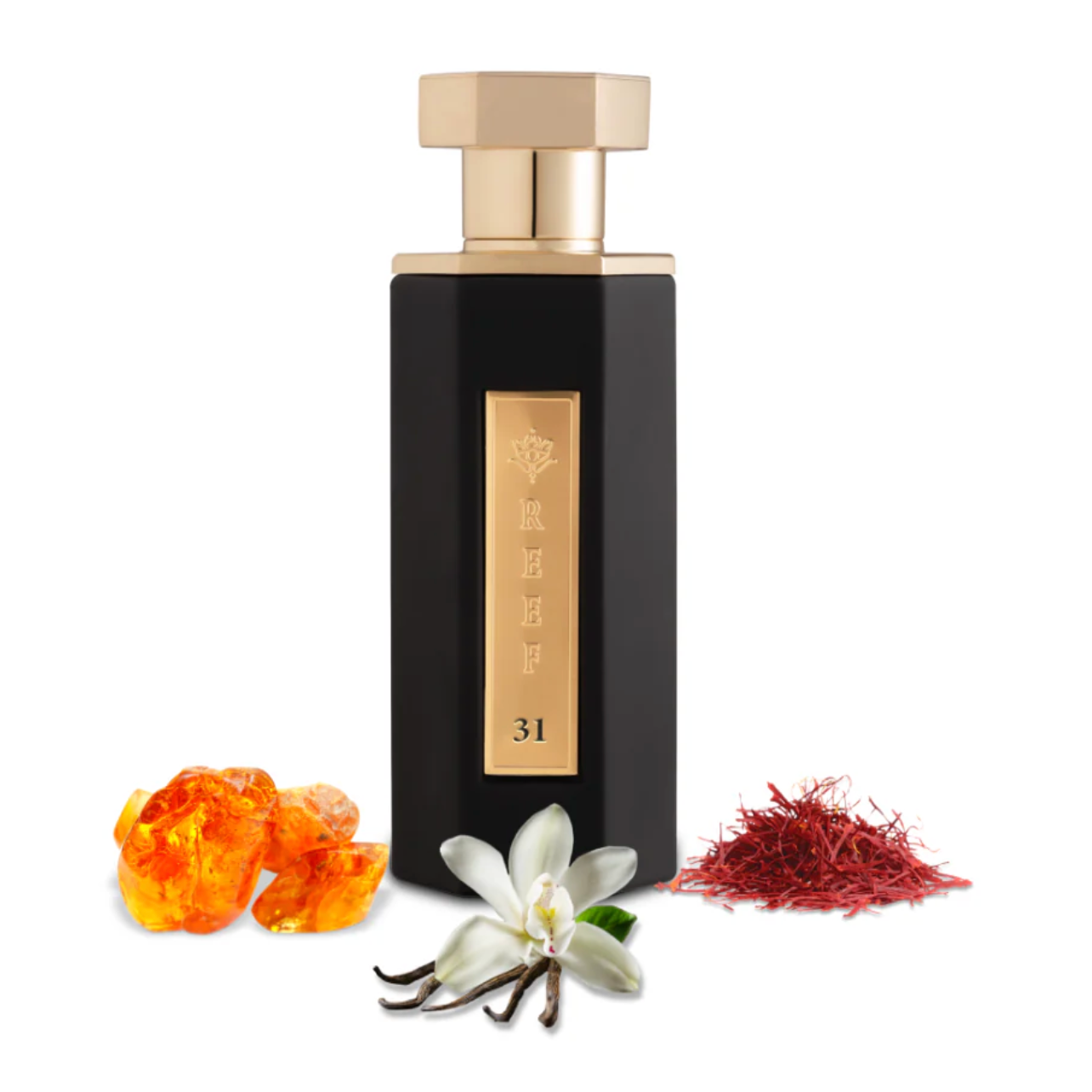 REEF 31 Eau de Parfum - 100ml