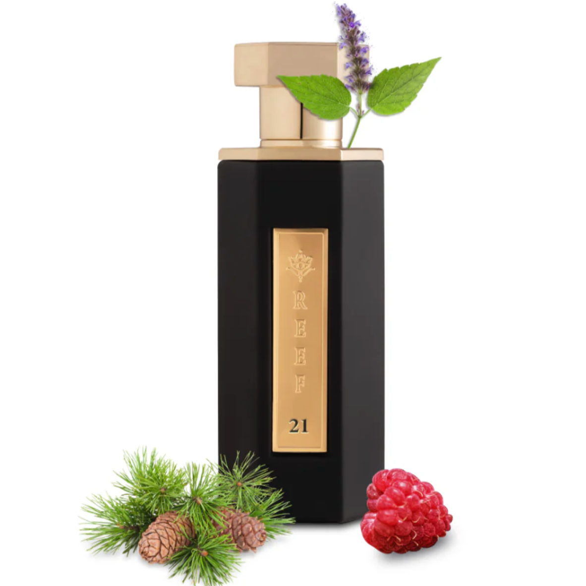 REEF 21 Eau de Parfum - 100ml